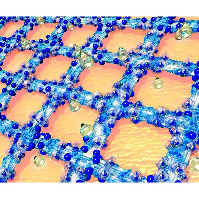 Grassolind neutral 10 × 20 cm – comprese...