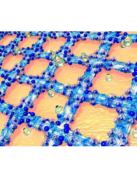 Grassolind neutral 10 × 20 cm – comprese impregnate cu unguent, 30 bucăți, PAUL HARTMANN AG