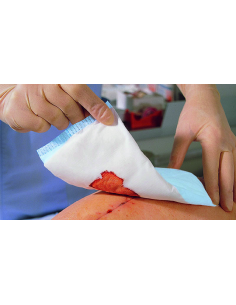 Zetuvit 10 x 10 cm non-sterile, 30 bucati, PAUL HARTMANN
