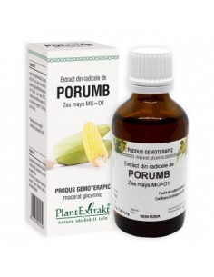 Zea mays (radicele porumb) 50 ml