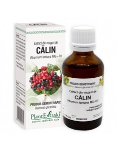 Viburnum lant. (muguri calin) 50 ml