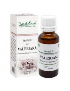 Valeriana off. (valeriana) tm 30 ml
