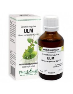 Ulmus campestris (muguri de ulm) 50ml