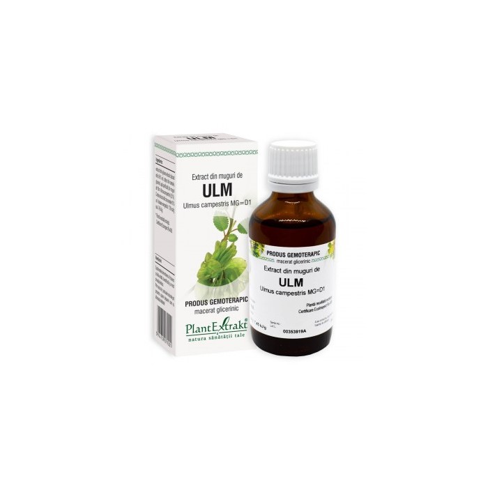 Ulmus campestris (muguri de ulm) 50ml