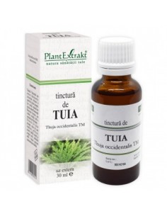 Thuja occidentalis TM 30 ml