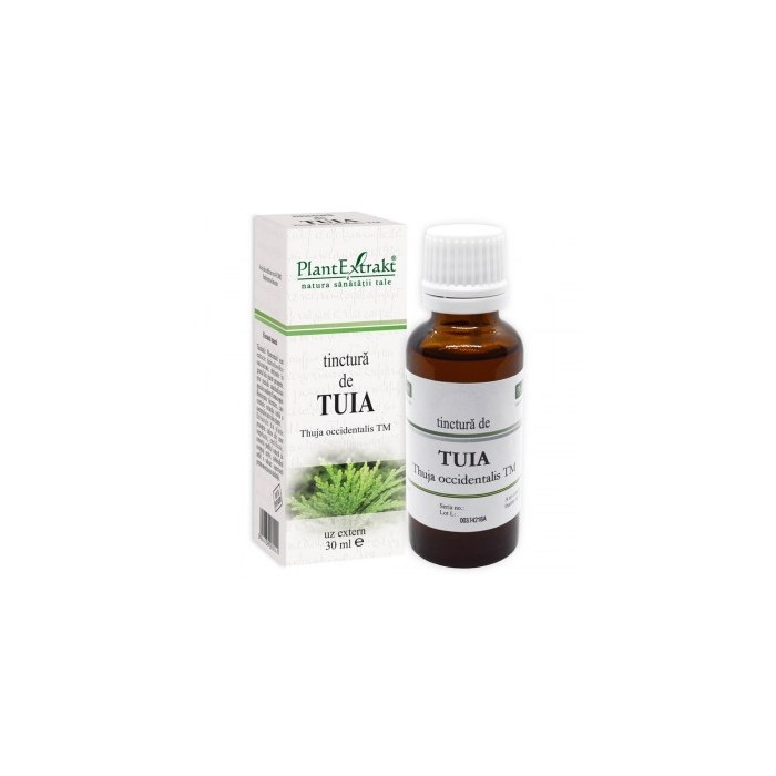 Thuja occidentalis (tuia) tm 30ml