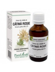 Tamarix gallica (mladite catina rosie) 50 ml
