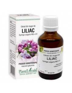 Syringa vulg. (muguri liliac) 50 ml