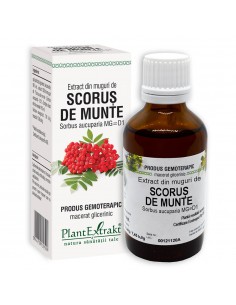 Extract gemoterapic din muguri de Scorus de munte 50 ml –...