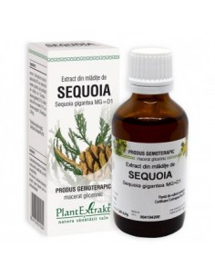 Sequoia gig. (mladite sequoia) 50 ml