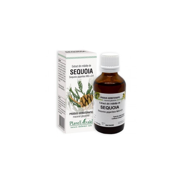 Sequoia gig. (mladite sequoia) 50 ml