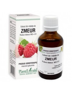 Rubus idaeus (mladite zmeur) 50 ml