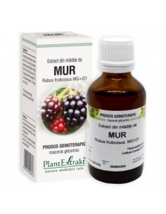 Rubus fruct. (mladite mur) 50 ml