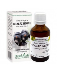 Ribes nigrum (muguri coacaz negru) 50 ml