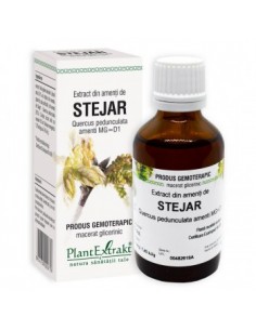 Quercus ped.amenti (amenti stejar) 50ml