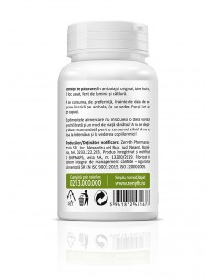 Quercetin 30 capsule, Zenyth 2