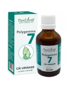 Polygemma nr 7 50ml (cai urinare)