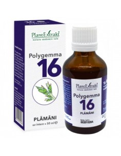 Polygemma nr 16 50ml (plamani)