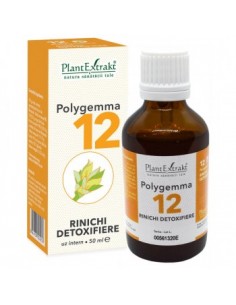 Polygemma nr 12 (rinichi-detoxifiere) 50ml