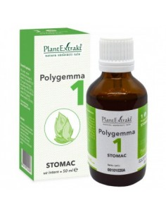 Polygemma nr 1 50ml (stomac)