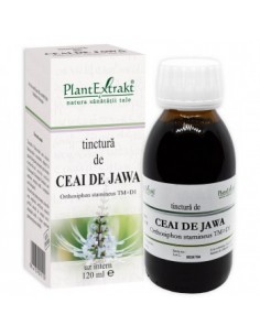 Tinctura ceai de Jawa x 120 ml
