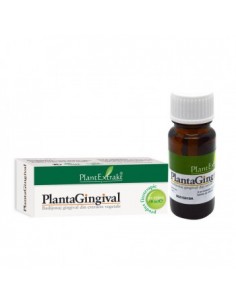 Plantagingival 10ml