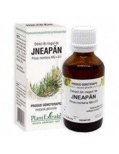 Pinus mont. (muguri jneapan) 50 ml