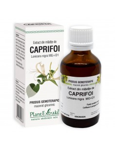 Extract din mlădițe de Caprifoi 50 ml