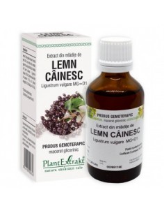 Ligustrum vulg. (mladite lemn cainesc) 50 ml