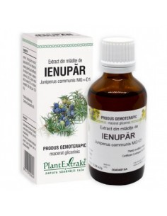 Juniperus comm. (mladite ienupar) x 50 ml