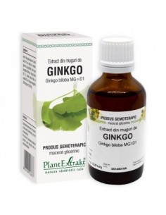 Ginkgo biloba (muguri) 50ml