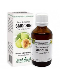 Ficus carica (muguri smochin) 50ml