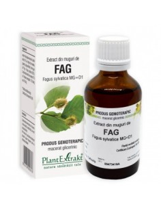 Fagus sylvatica (muguri fag) 50 ml