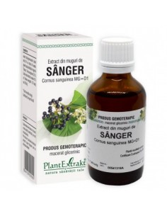 Cornus sanguinea (sanger) 50 ml