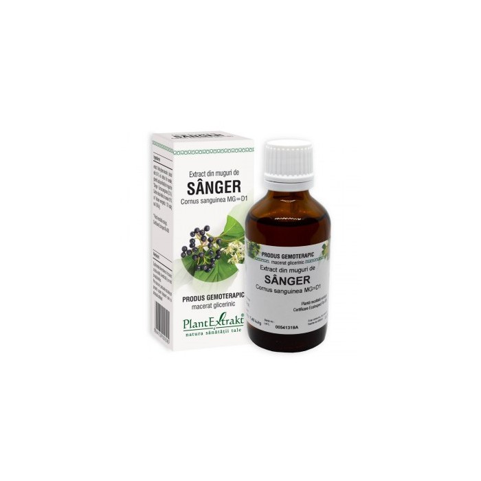 Cornus sanguinea (sanger) 50 ml