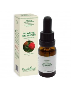 Concentrat-rubus idaeus (mladite zmeur) 15 ml