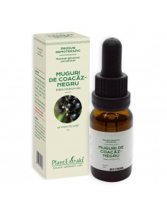 Concentrat-ribes nigrum (muguri coacaz negru) 15 ml