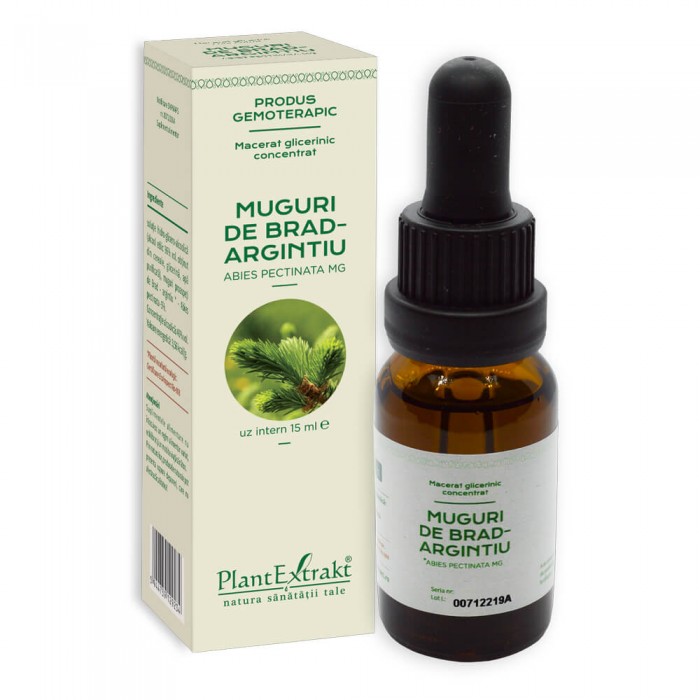 Concentrat-abies pect. (muguri brad) 15 ml