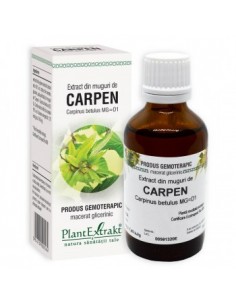Carpinus betulus (muguri carpen) 50 ml
