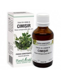 Buxus sempervirens (mladite cimisir) 50ml