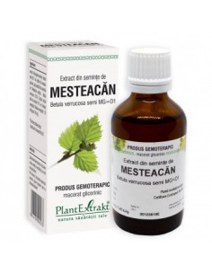 Betula verr. seminte (seminte mesteacan) 50ml