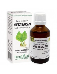 Betula verr. (muguri mesteacan) 50 ml