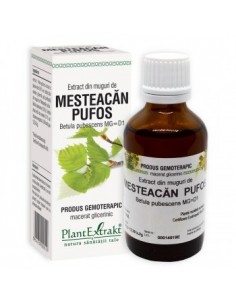 Betula pub. (mesteacan pufos) 50 ml