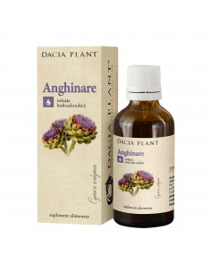 Tinctură de Anghinare 200 ml – Dacia Plant