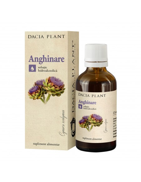 Tinctură de Anghinare 200 ml – Dacia Plant