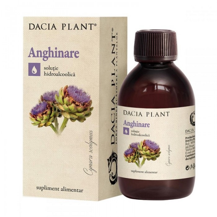 Tinctură de Anghinare 200 ml – Dacia Plant