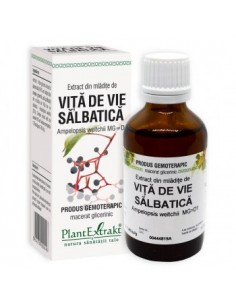 Ampelopsis (mladite vita de vie salbatica) 50 ml