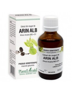 Alnus incana (muguri arin alb) 50 ml